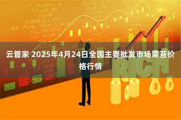 云管家 2025年4月24日全国主要批发市场菜苔价格行情